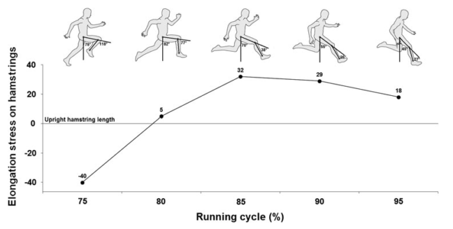 running cycle