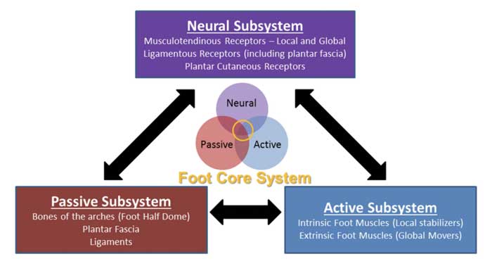 foot core system