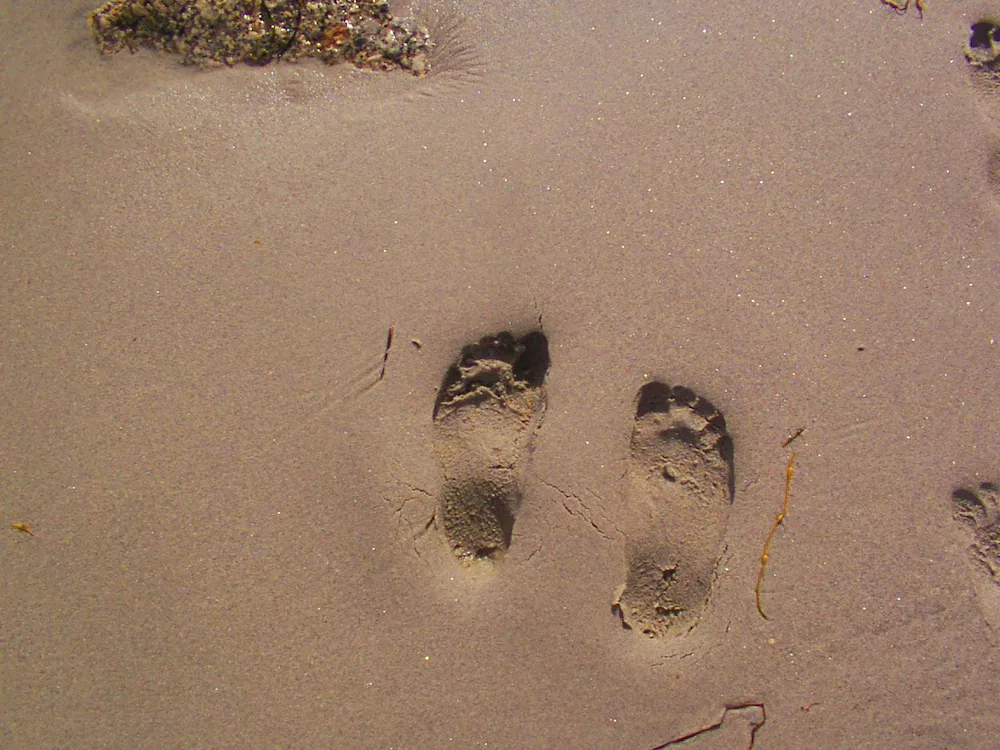 Plantari per la gestione dei piedi piatti in età pediatrica